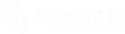 Manus
